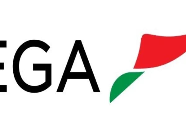 From Guinea setbacks to US smelter ambitions: EGA’s transformative H1 2025