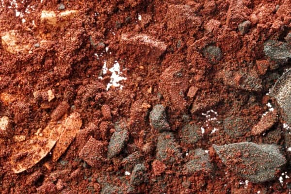 Surge in bauxite arrivals and shipments indicates strong import outlook