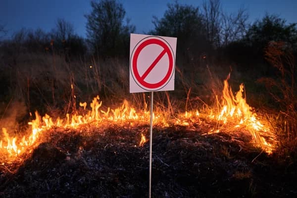 Balada bauxite mining project under pressure; Environmental clearance opposed by local protestants