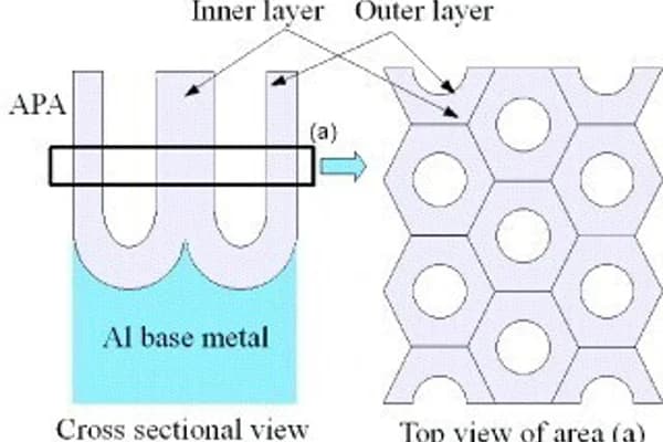 Nanostructured alumina's antibacterial edge transforms cell culture practices
