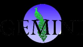 Gemini Corporation N.V.