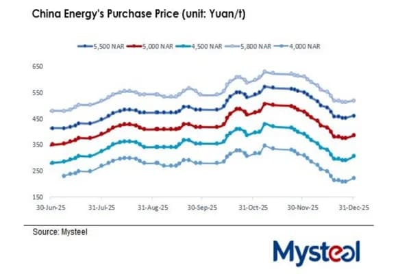 WEEKLY: China thermal coal finds a floor, but recovery looks fragile