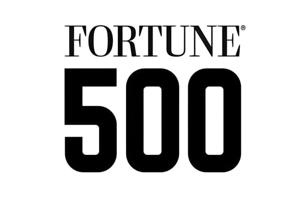 FLASH: Twelve Chinese non-ferrous firms make 2025 Fortune Global 500 list