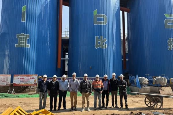 China bets on IB2 to secure its bauxite future