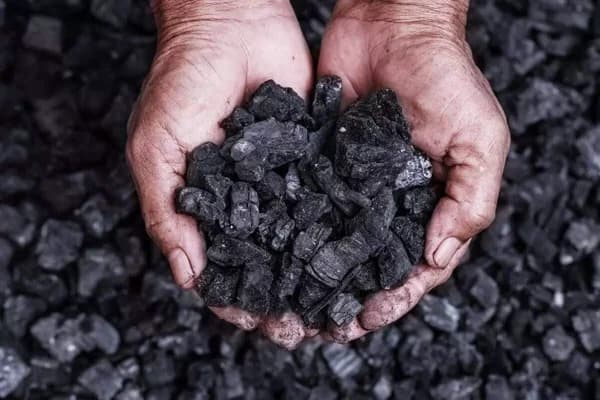 China's petroleum coke imports in Q1 2025 increased by 10.64% Y-o-Y, and imports in Q2 are expected to rise first and then decline