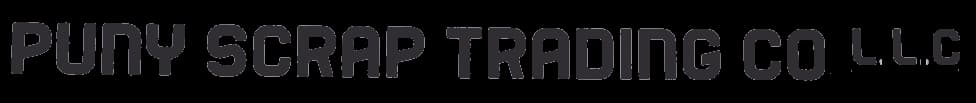 Puny ScrapTrading Co LLC
