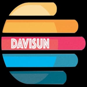 Davisun Co.Ltd