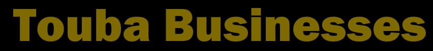 Touba Businesses