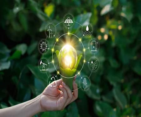 Pre-submission Evaluation of Ecovadis Services