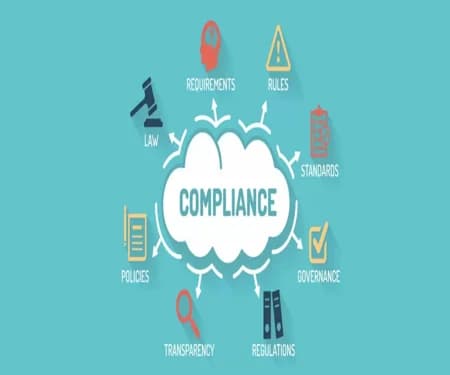 Statutory and Regulatory Audits Services