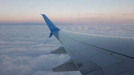 Alvant develops CorXal