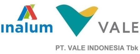 Analum to secure Vale's disinvestment shares