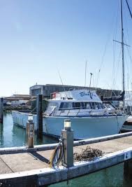 Poralu marine collaborates with DoT for new jetty