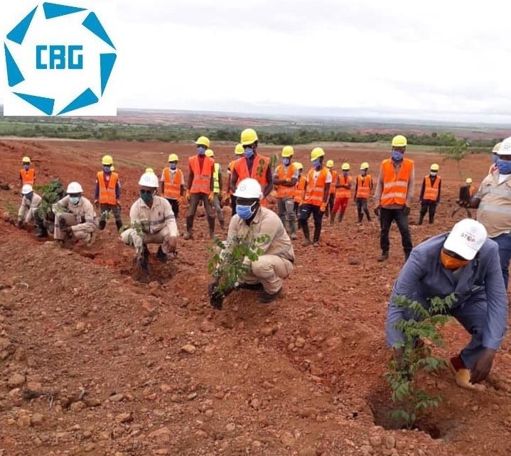 CBG floats campaign for reforestation