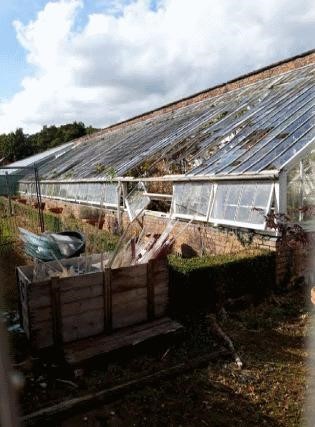 Aluminium frames replaces timber structures at Tatton Park Glasshouses