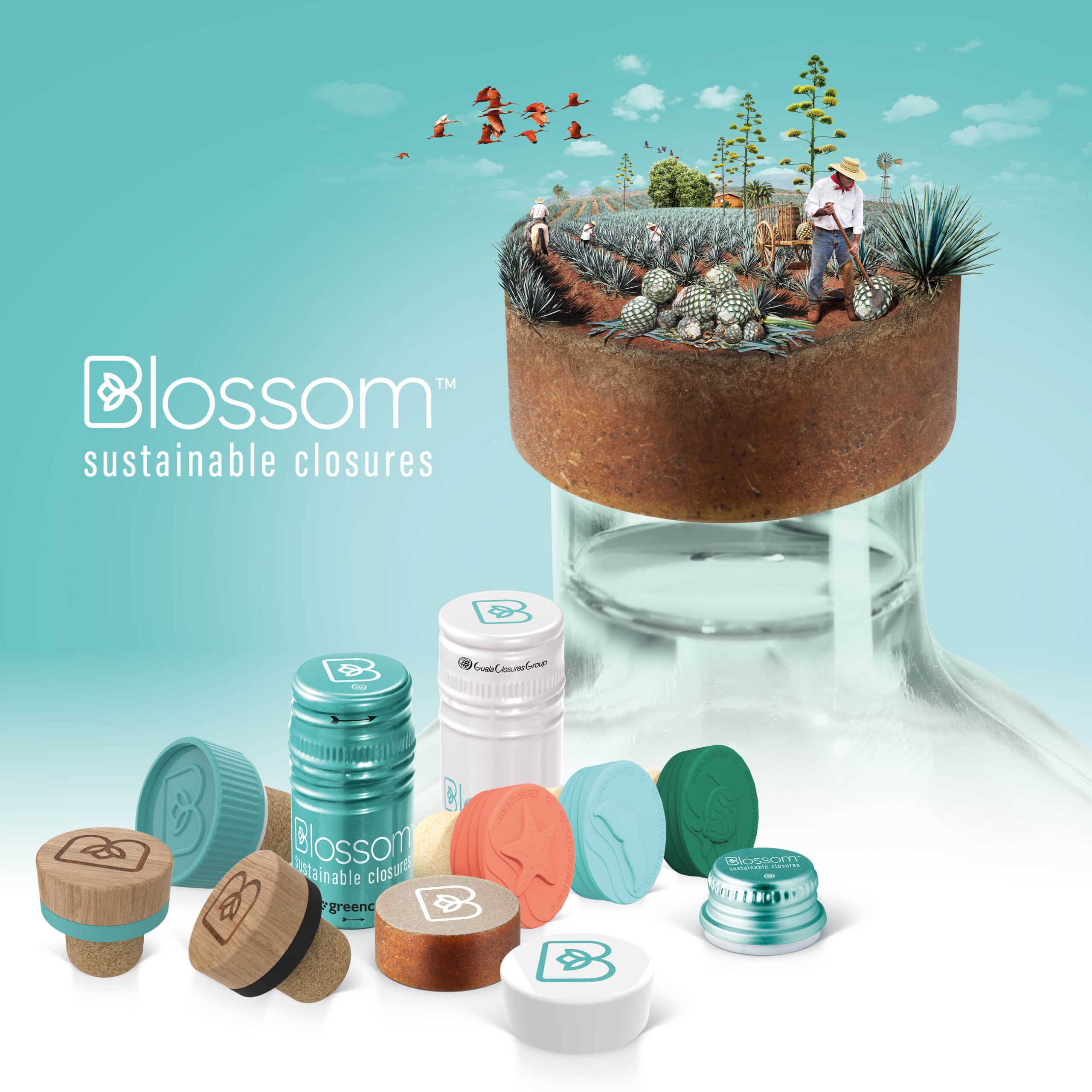 Goula Closures launches sustainable closures range under the brand name “Blossom”