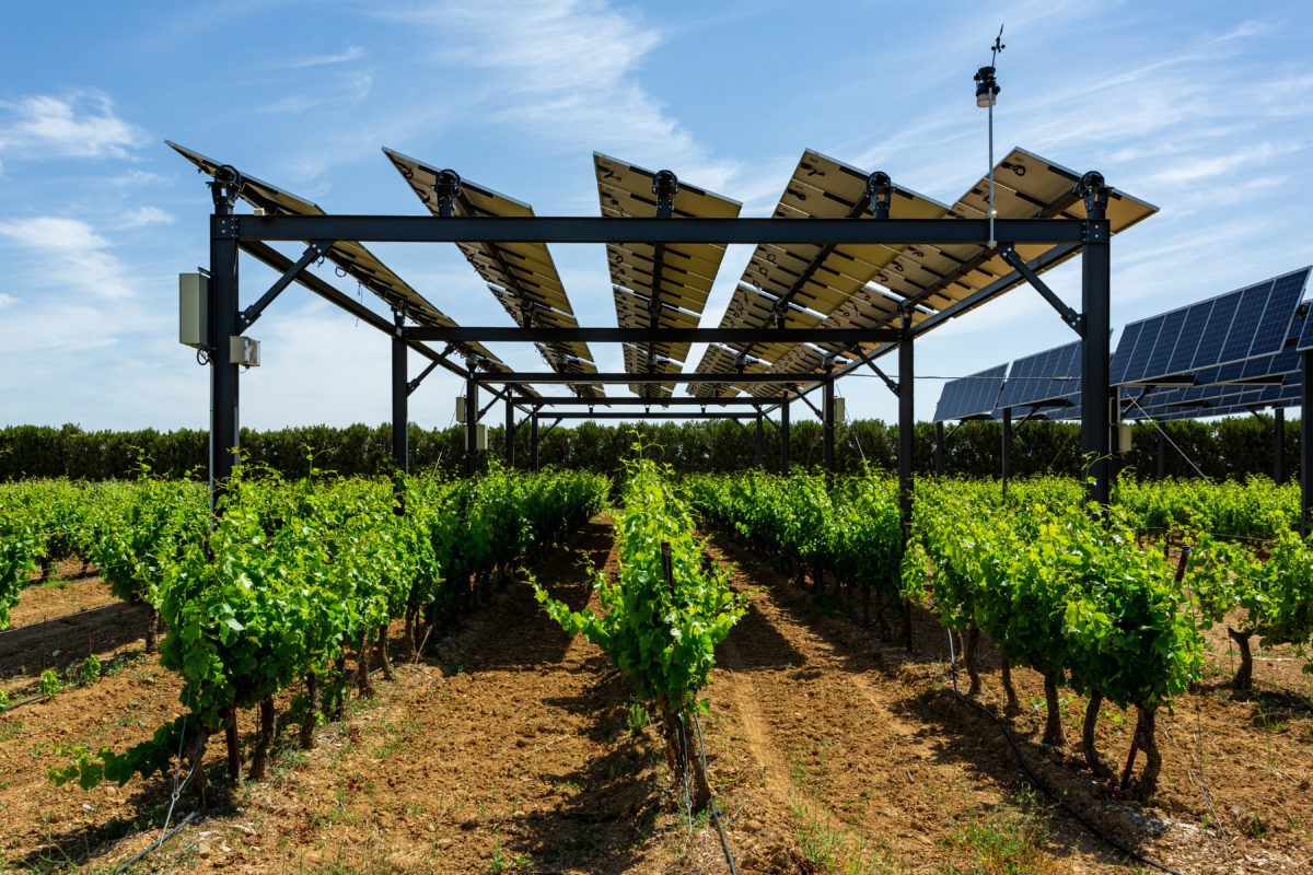 Chinese solar power product maker Mibet develops unique Agri-PV mounting system