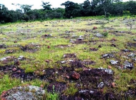 Canyon Resources reports the commencement of resource activities activity on the Makan bauxite permit