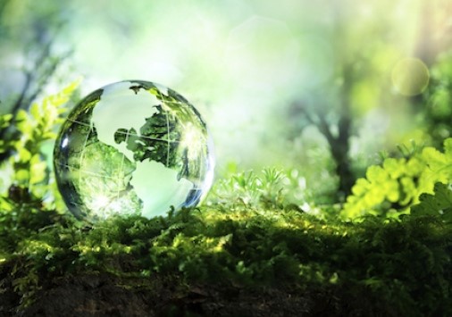 Denison University’s Green Team promotes aluminium can usage instead of plastic bottle, Alcircle News