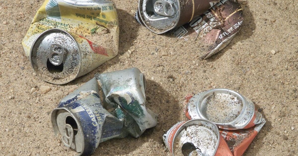 Cleanup volunteers witness dramatic decrease in aluminium cans recovery