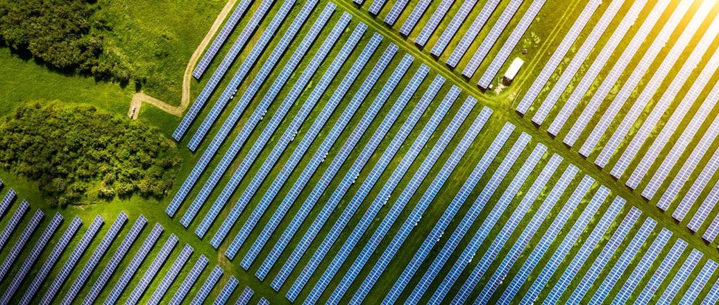 Hydro Rein and GreenGo Energy extend partnership, plans to set up two early-stage solar projects in Denmark