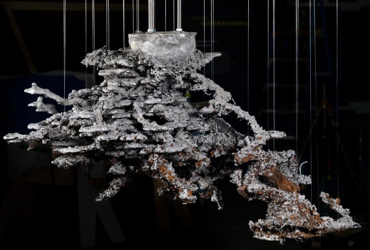 Aluminium replica of giant bull ant's nest, the star of Queensland Museum's exhibition