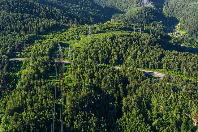 Rusal forest carbon offset project