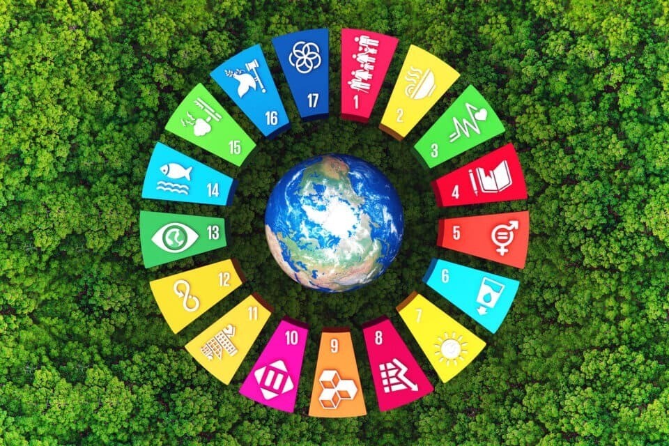 Majority of nations miss 2020 climate pledges, study shows