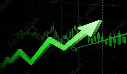 Egyptalum sees double digit growth