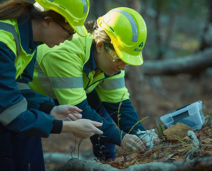 Leading the way: Alcoa Australia's Forest Research Centre takes root