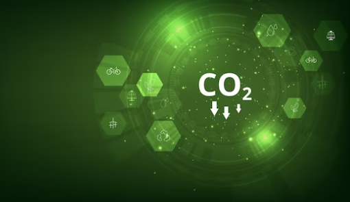 Breakthrough innovation: NUST trio turns palm waster into circular green aluminium