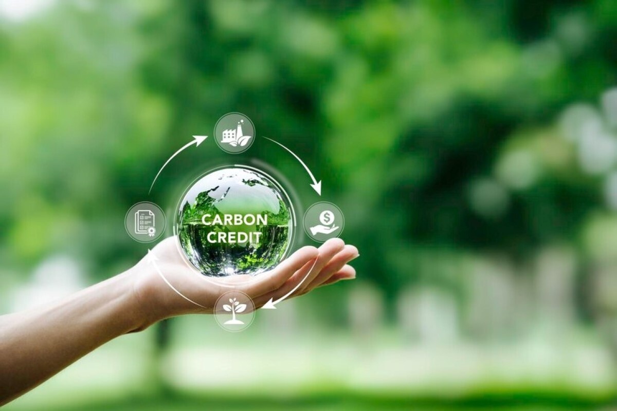 Climate Change Commission backs campaign to end free carbon credits for industry giants