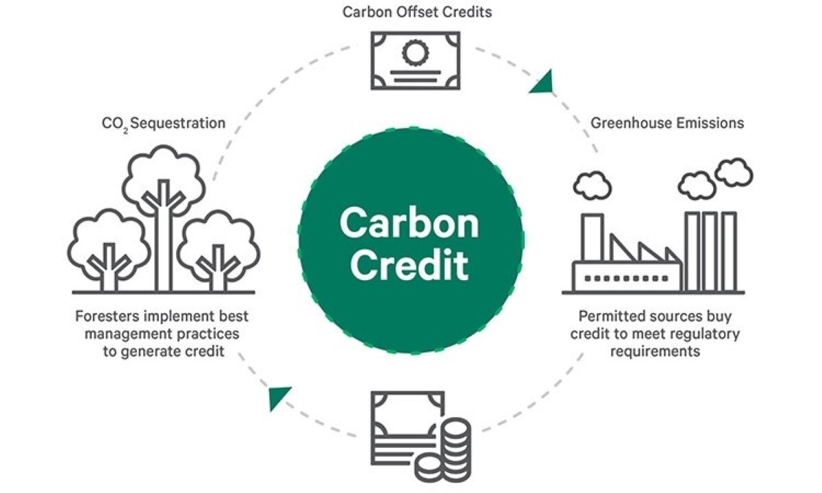 Carbon Credit