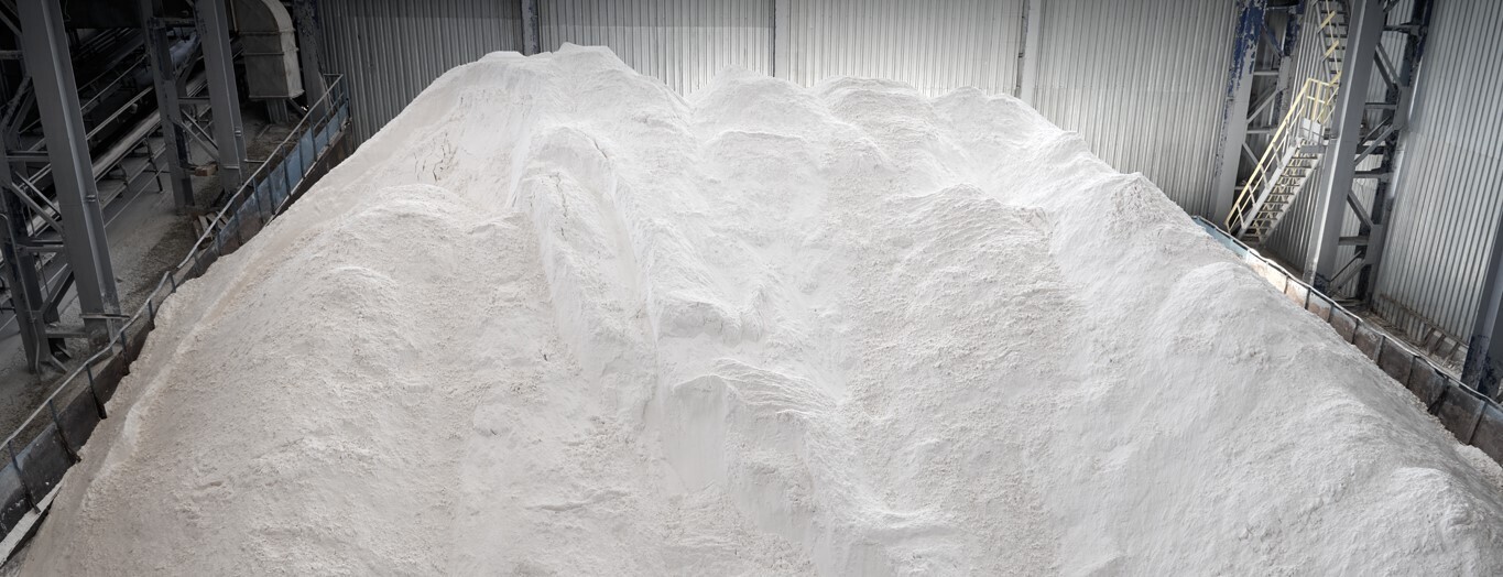 China's alumina production in February 2025 and March forecast