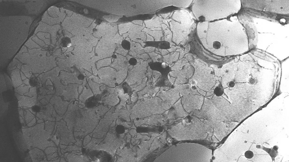 NIST researchers discover quasicrystals in 3D printed aluminium alloys