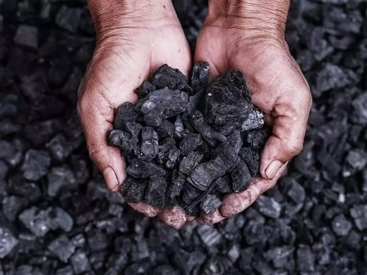 China’s petroleum coke imports in Q1 2025 increased by 10.64% Y-o-Y, and imports in Q2 are expected to rise first and then decline