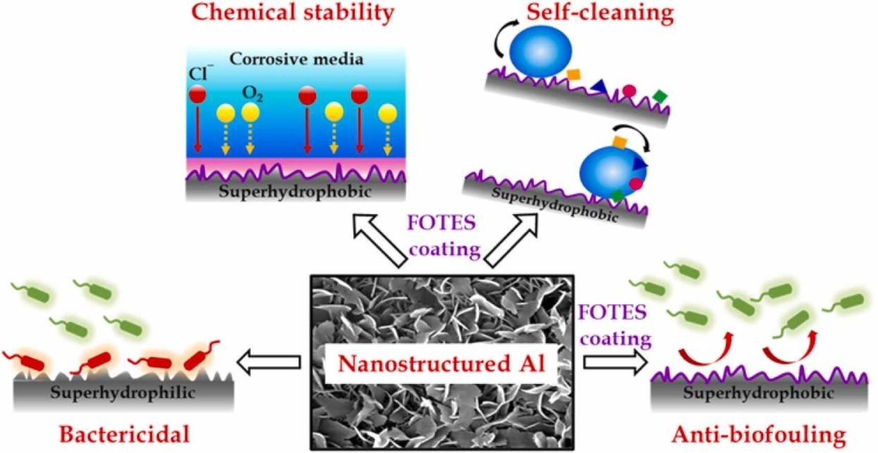 Shiv Nadar University researchers develop nature-inspired aluminium surfaces for industrial & biomedical use