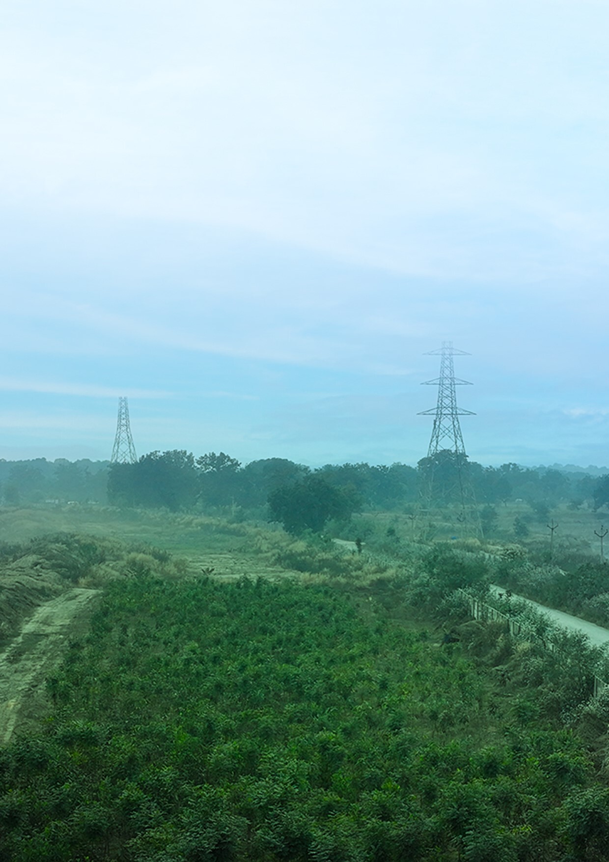 On biodiversity day, Vedanta Aluminium announces multiple initiatives to protect wildlife and restore habitats across its operations