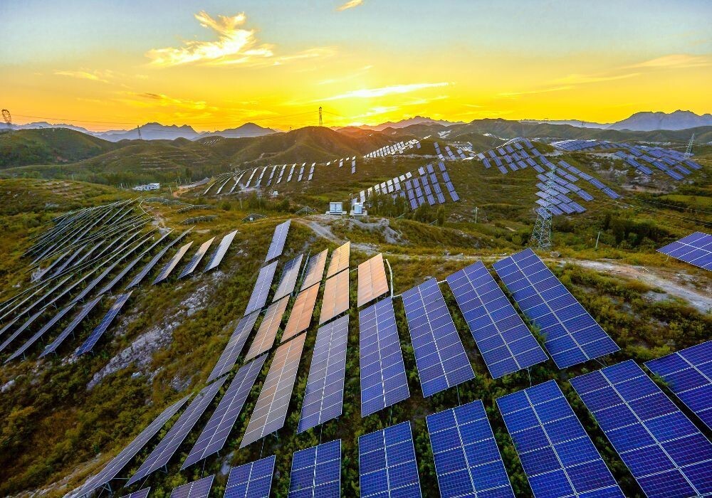 Assam pulls plug on 125MW solar project, triggering contract cancellation for Waaree Renewables