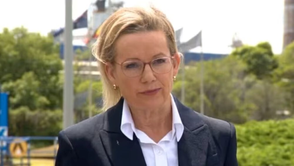 Tomago on the brink? Ley’s visit reignites debate over Australia’s energy policy