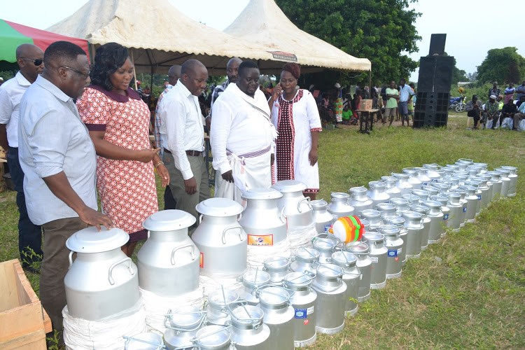 Kifli dairy farmers start using Aluminium cans