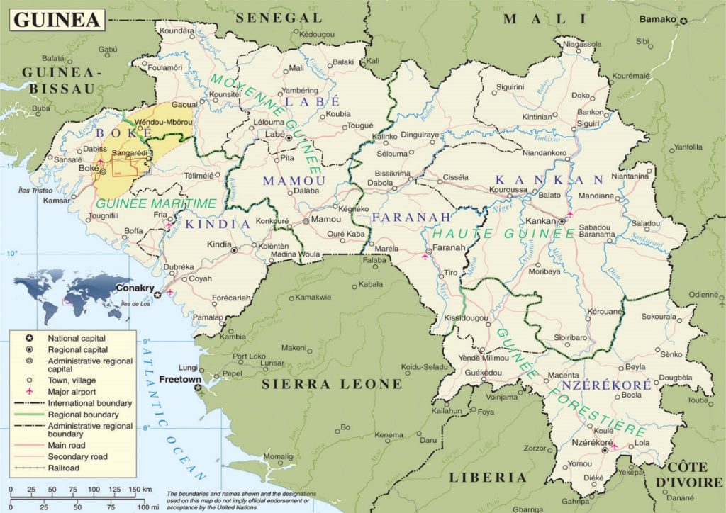 guinea1
